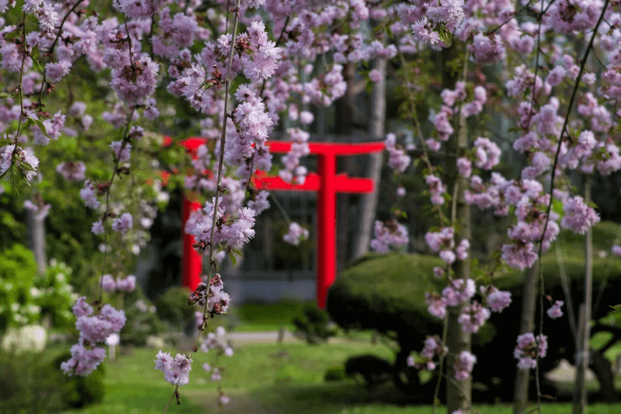 SZTE Füvészkert Szeged