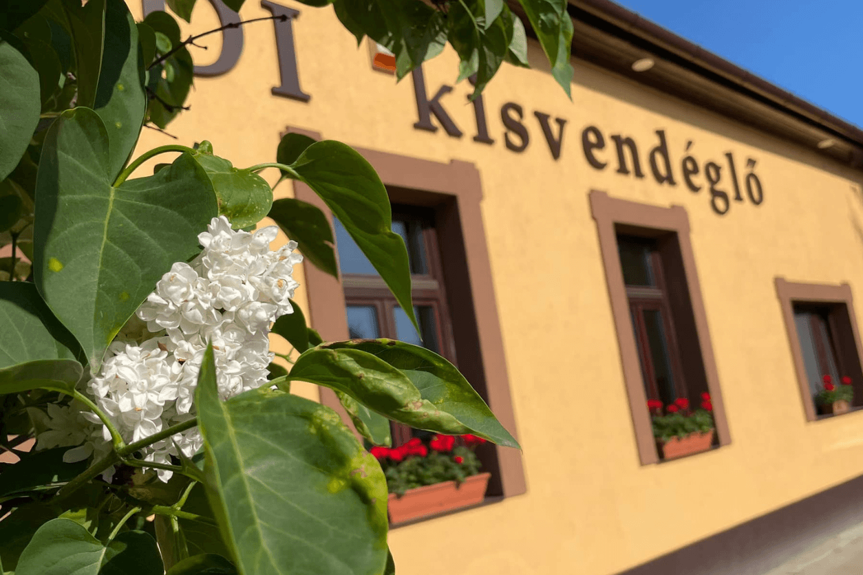 aradi kisvendeglo szeged